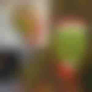 Коледна украса | ELFLEGS