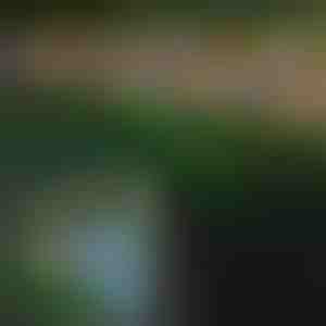 Соларна Лампа с Пеперуди | FLUTIX