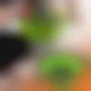 Силиконови цедки (2 бр.) | FOLDRAIN