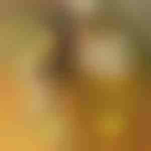 Акрилно табло с LED осветление и 7 маркера | LUMOBOARD