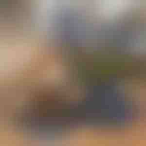 Сгъваема Купа за Храна и Вода за Домашни Любимци 2 в 1 | WOOFDISH