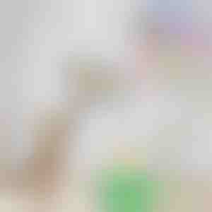 Електрическа играчка за дразнене на котки | BIRDIETOY