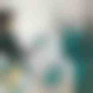 Мини Парна Ютия | FERROLITE