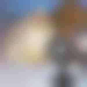 LED проектор със снежинки | SNOWLAMP