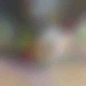 12-в-1 уред за рязане и нарязване на зеленчуци (включени 7 остриета) | CHOPMASTER