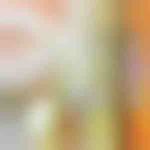 Многофункционален уред за рязане | SLICEWISE