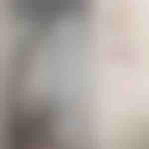 Магнитна мрежа за врата срещу комари | INSECTPROTECT