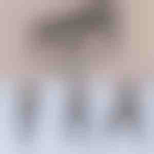 Многофункционален бар за пилатес | TONEBAR