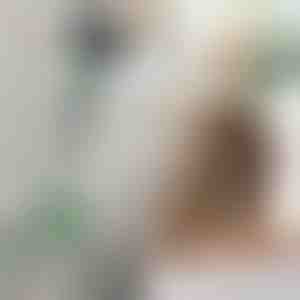 Регулируема Дръжка за Сешоар | FENLUSK