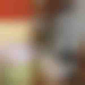 Ръчен чопър за рязане на зеленчуци | CHOPSTER