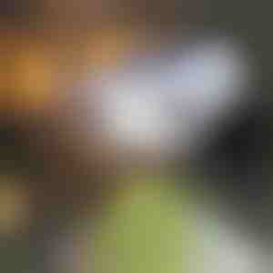 Соларен лъч със сензор за движение | LUMACAM