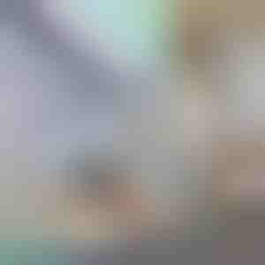 Декоративно фолио за прозорци и защита на личния живот | PRISMWRAP