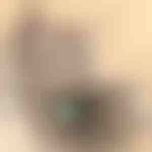 Играчка за котки | PREYPLAY