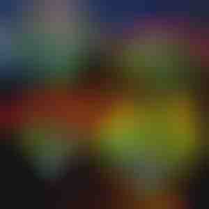 Соларни светещи цветя | ROSILUME