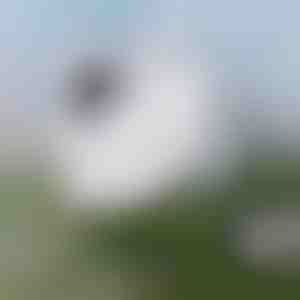 Лесно почистване на прозорци | WINDOWSWIPE