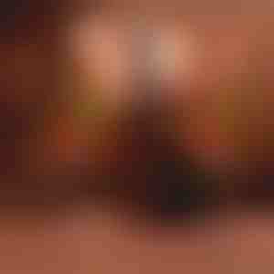 Слънчева светлина кипарисово дърво | CUPRESSUS