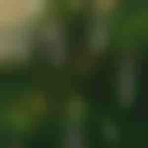 Безпламъчни трептящи свещи (6 бр.) | CANDLEA